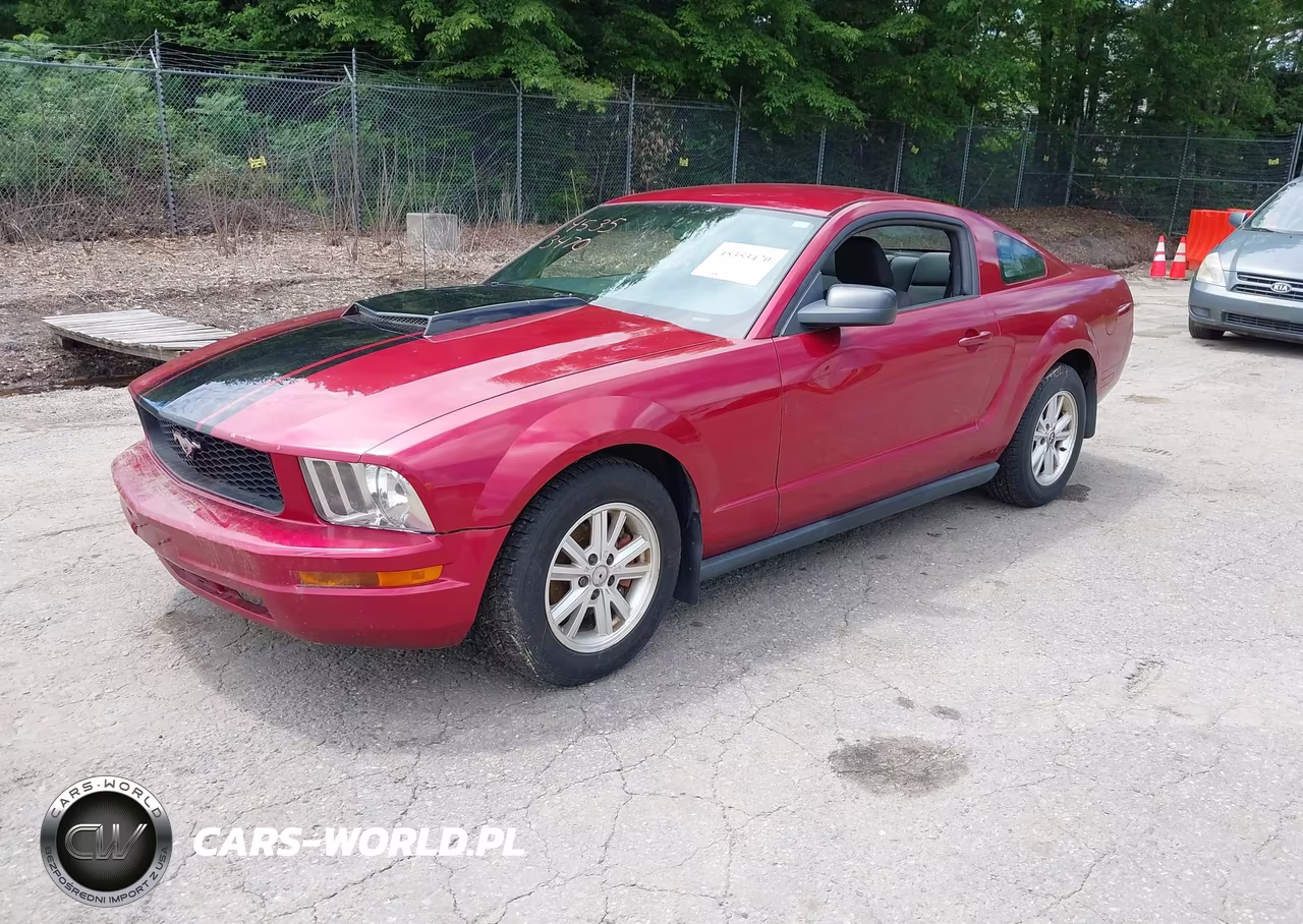 2005 Ford Mustang V6 Deluxe-V6 Premium VIN:1ZVFT80N855172084 - 2