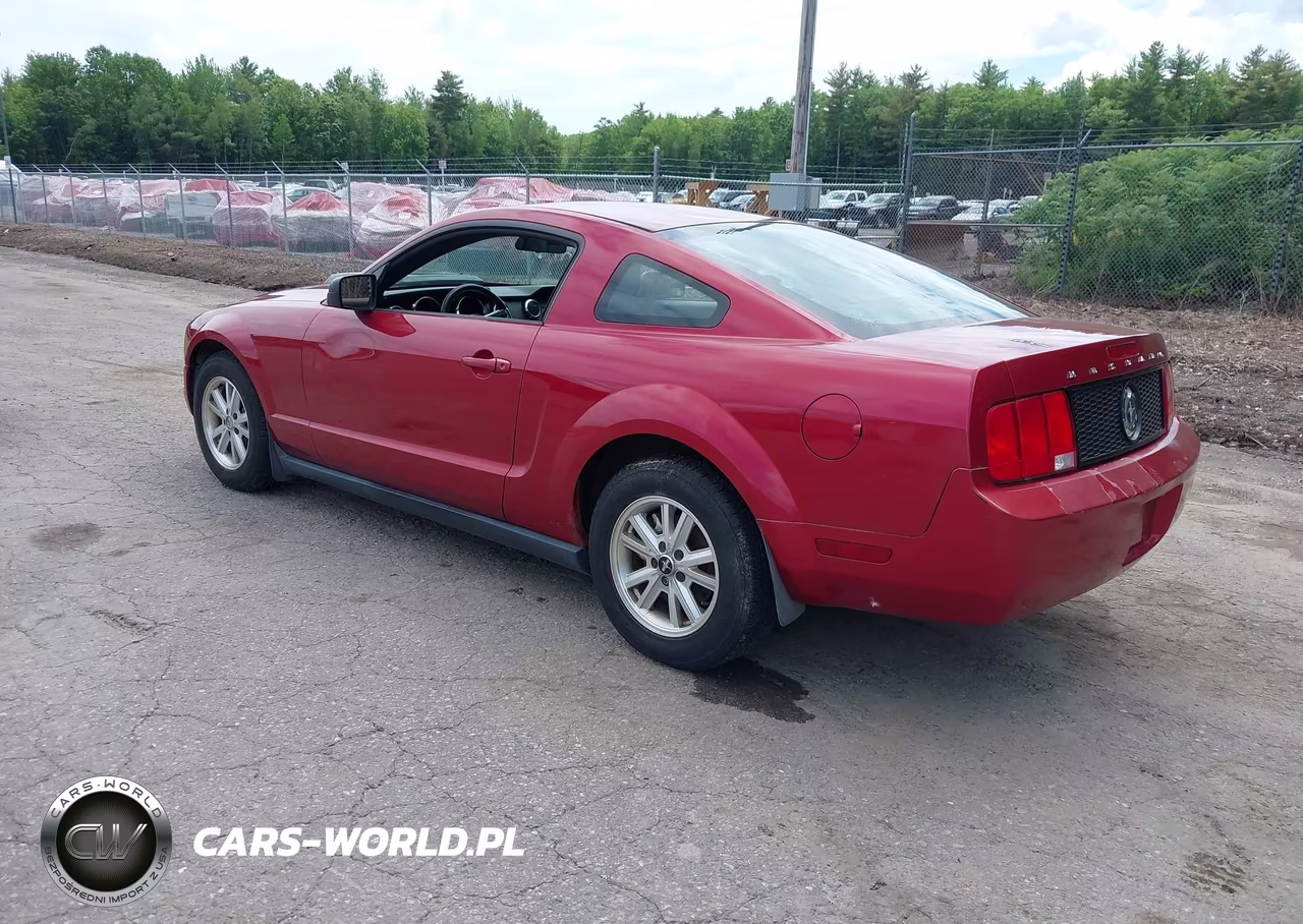 2005 Ford Mustang V6 Deluxe-V6 Premium VIN:1ZVFT80N855172084 - 3
