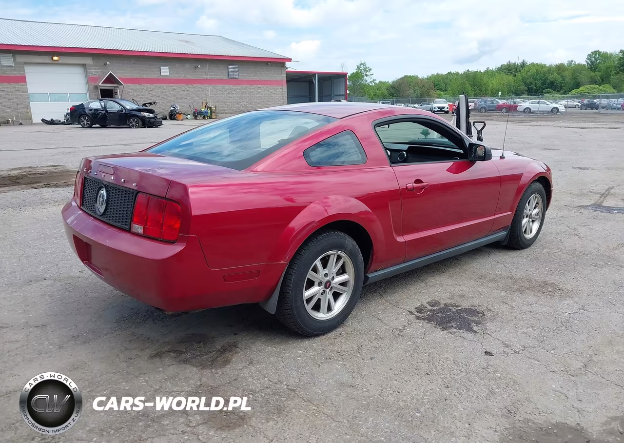 2005 Ford Mustang V6 Deluxe-V6 Premium VIN:1ZVFT80N855172084 - 4