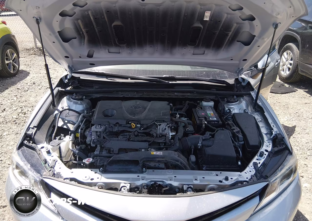 2020 Toyota Camry Le VIN:4T1C11AKXLU894730 - 10