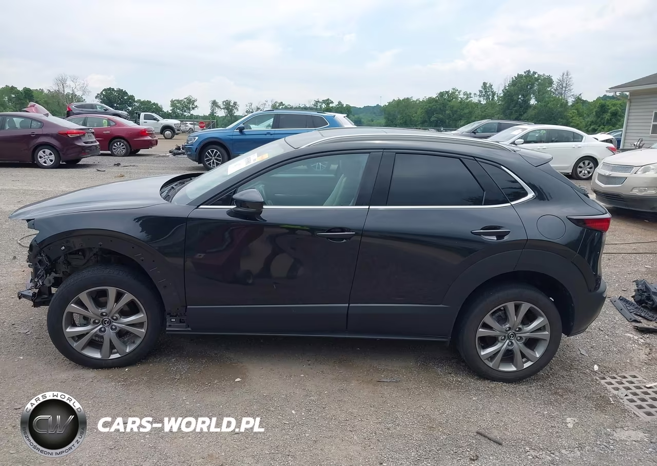 2022 Mazda Cx-30 Premium VIN:3MVDMBDL0NM457786 - 15