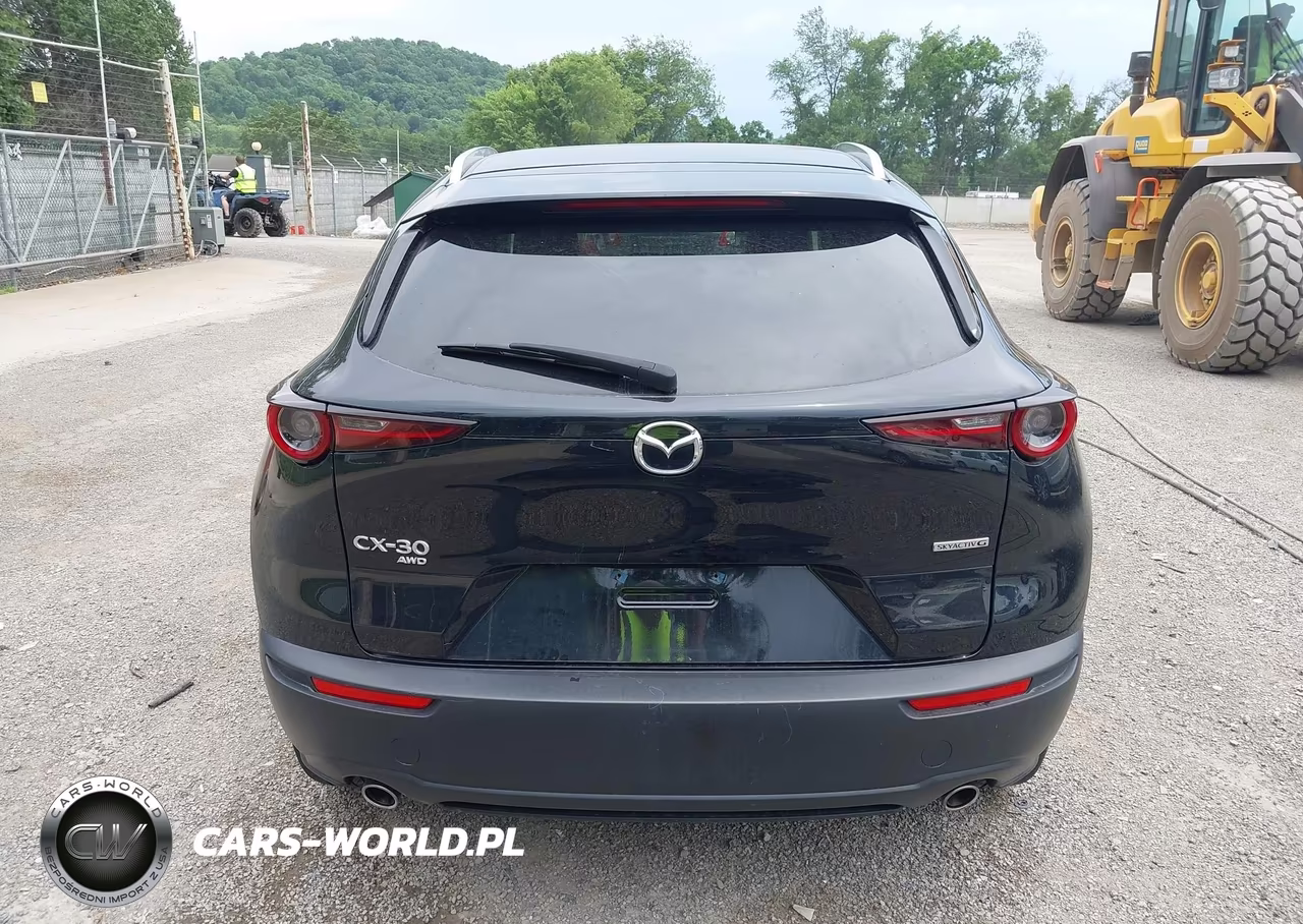 2022 Mazda Cx-30 Premium VIN:3MVDMBDL0NM457786 - 17