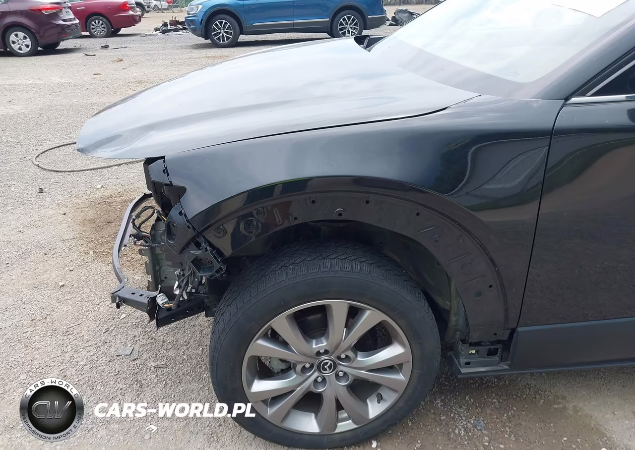 2022 Mazda Cx-30 Premium VIN:3MVDMBDL0NM457786 - 19