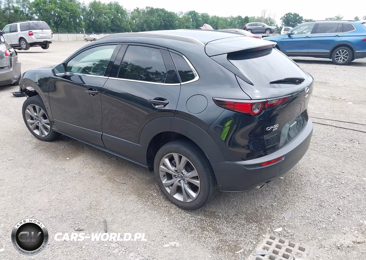 2022 Mazda Cx-30 Premium VIN:3MVDMBDL0NM457786 - 3