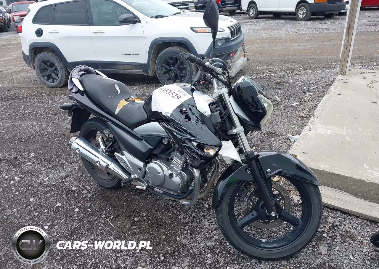 2013 Suzuki Gw250 – zdjęcie 1 z 13