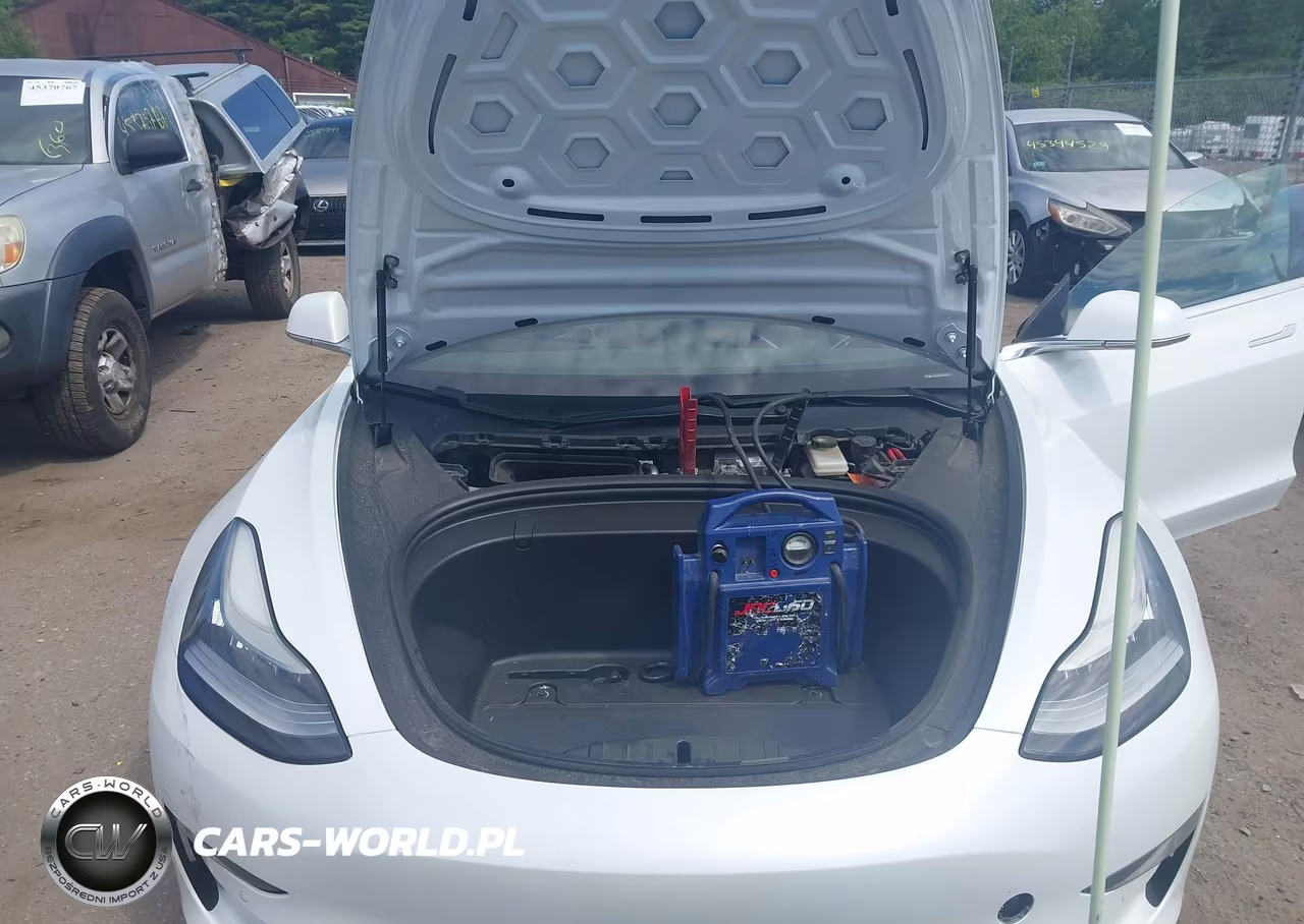 2019 Tesla Model 3 Long Range-Performance VIN:5YJ3E1EB3KF493417 - 10