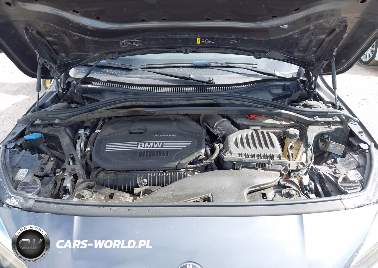 2021 BMW 228I Gran Coupe xDrive VIN:WBA73AK05M7G48309 - 10