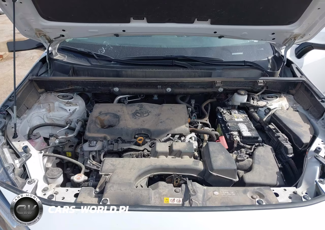 2024 Toyota Rav4 Xle Premium VIN:2T3C1RFV9RW301666 - 10