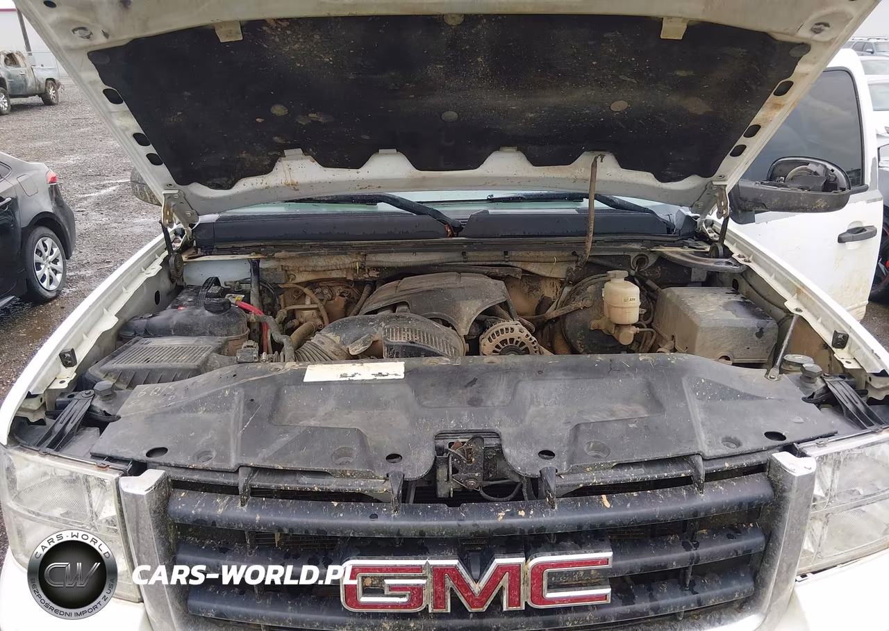 2009 GMC Sierra 1500 Sle VIN:3GTEC23099G250575 - 10