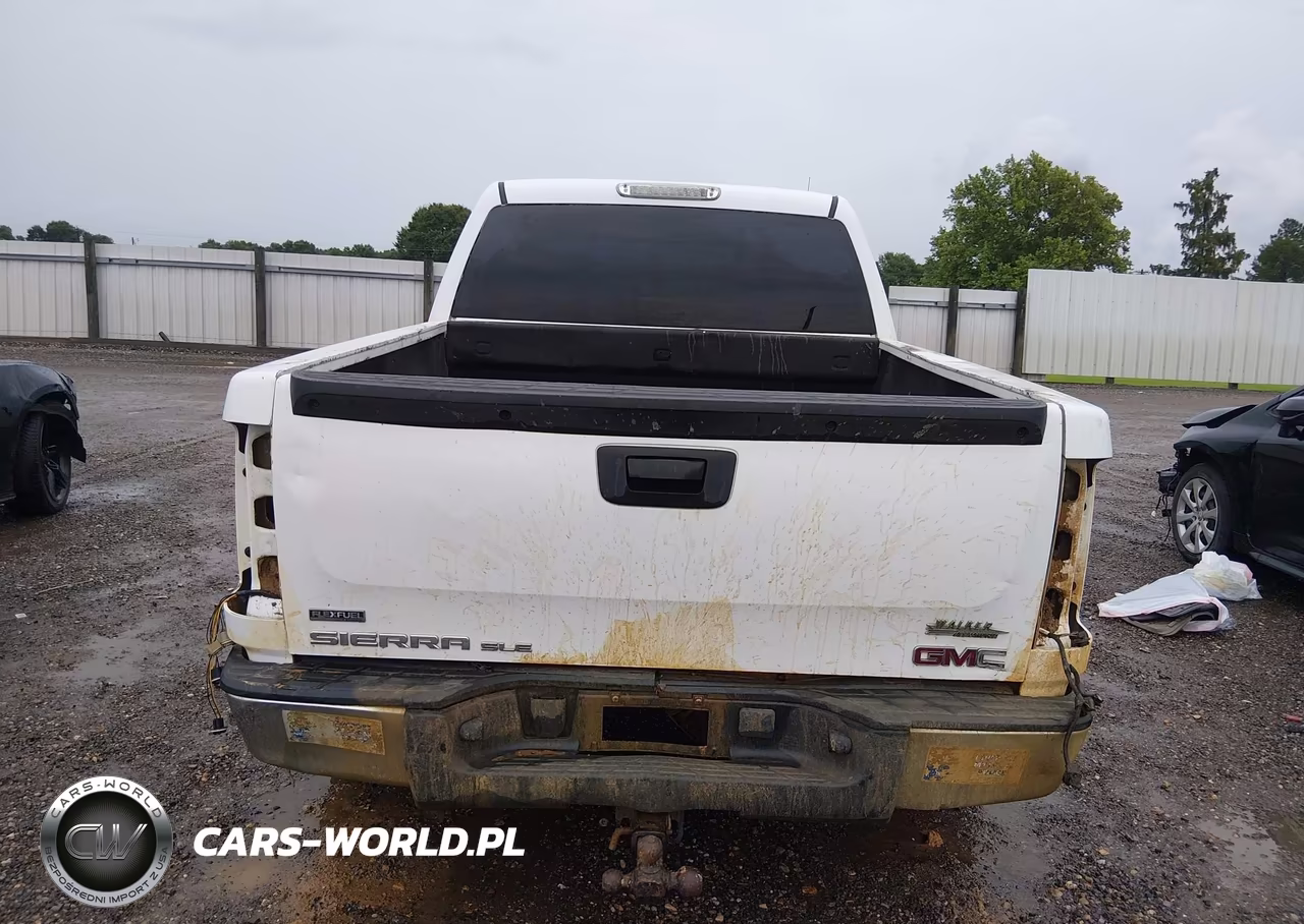 2009 GMC Sierra 1500 Sle VIN:3GTEC23099G250575 - 17