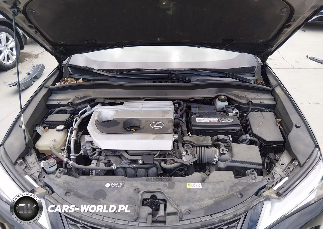 2019 Lexus Ux 200 F Sport VIN:JTHY3JBH2K2009002 - 10