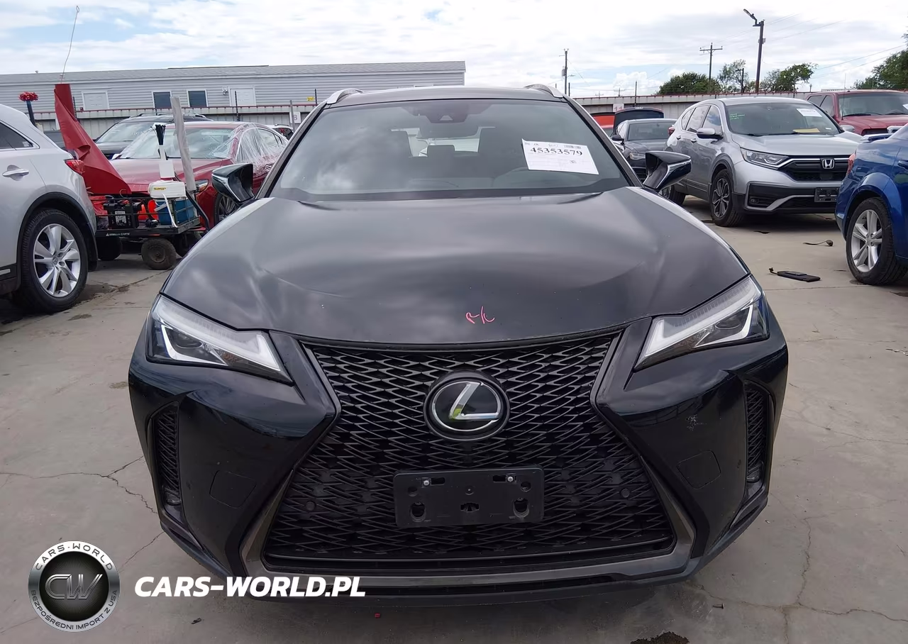 2019 Lexus Ux 200 F Sport VIN:JTHY3JBH2K2009002 - 13