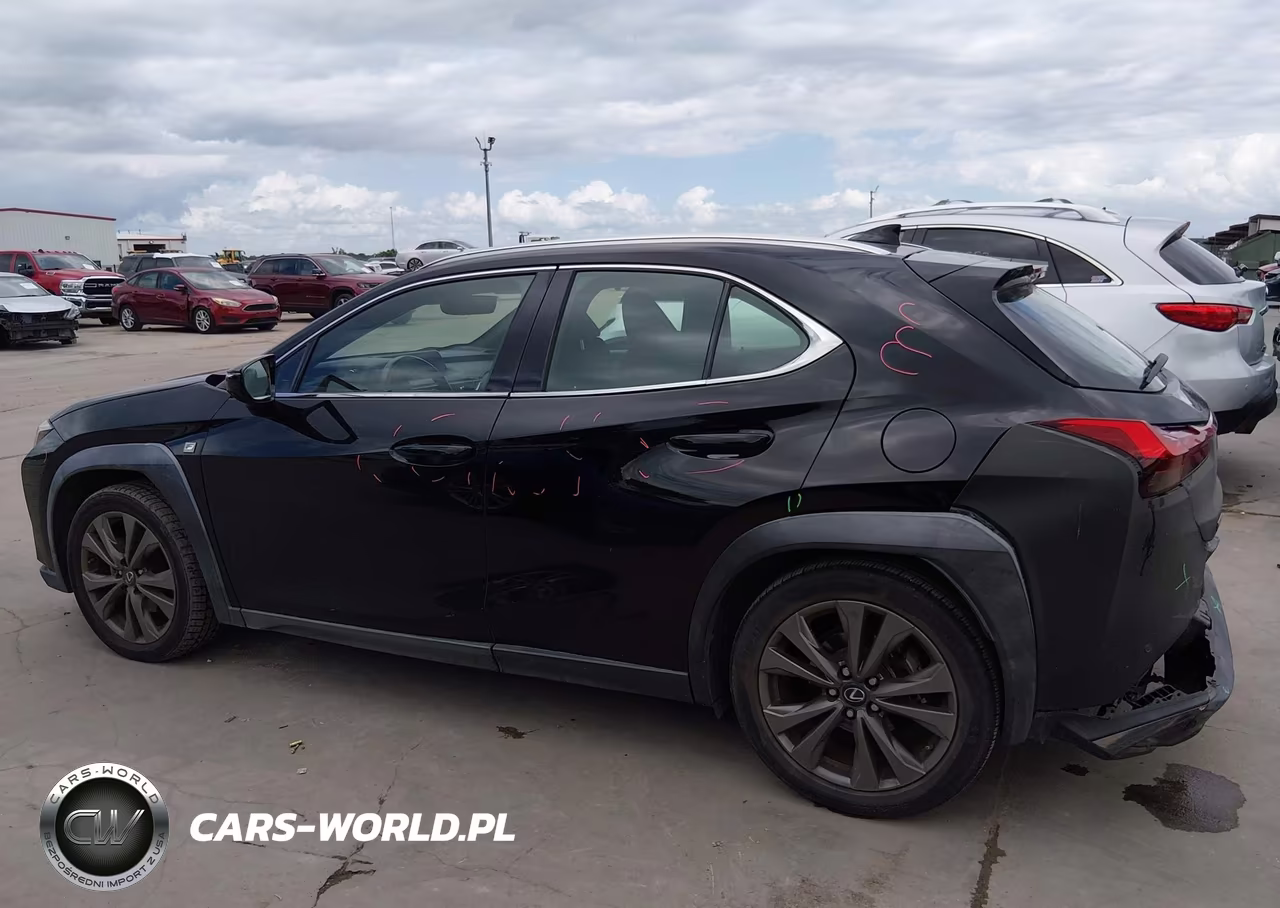 2019 Lexus Ux 200 F Sport VIN:JTHY3JBH2K2009002 - 15