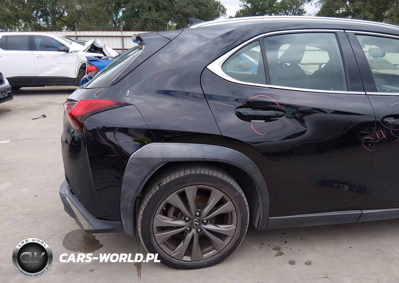 2019 Lexus Ux 200 F Sport VIN:JTHY3JBH2K2009002 - 19