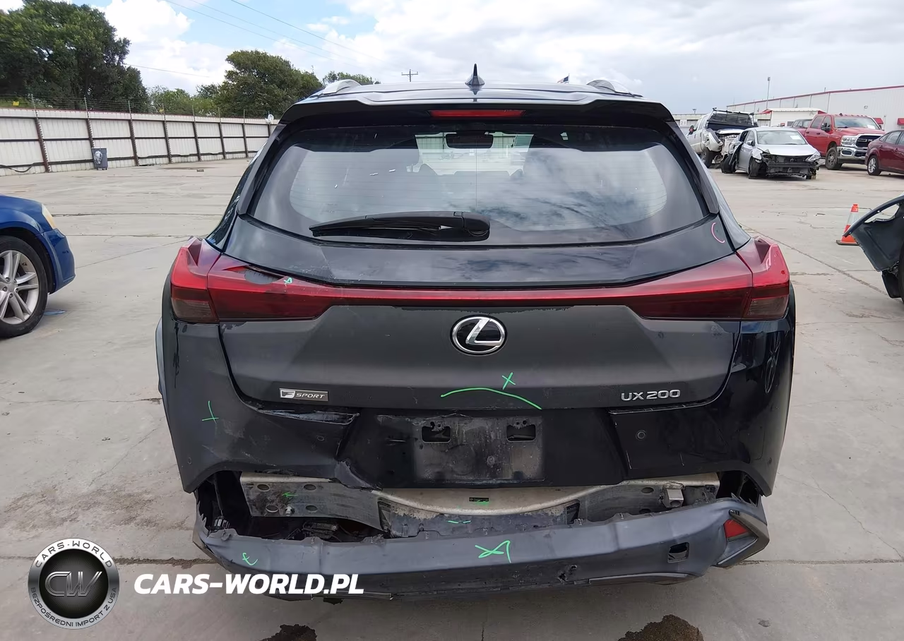 2019 Lexus Ux 200 F Sport VIN:JTHY3JBH2K2009002 - 6