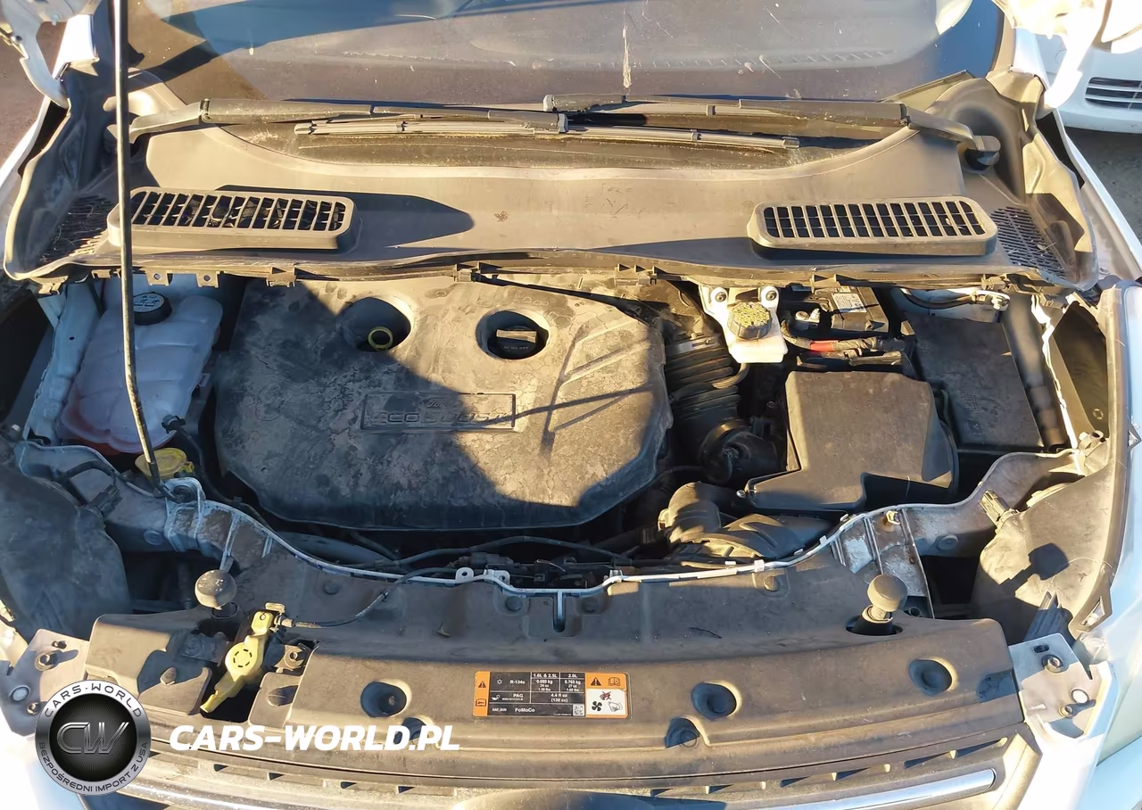 2015 Ford Escape Se VIN:1FMCU0G94FUC90505 - 10