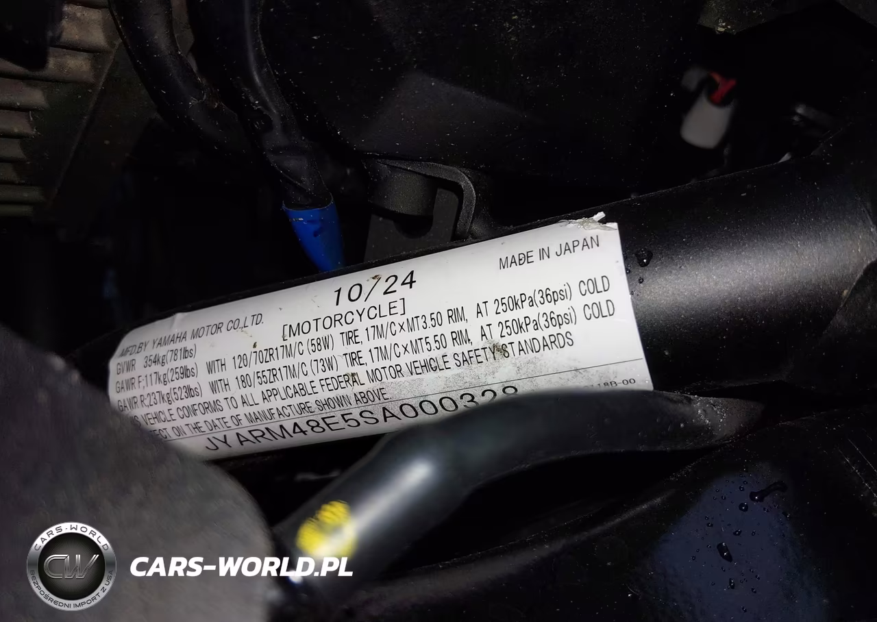 2025 Yamaha Mtn690 VIN:JYARM48E5SA000328 - 10