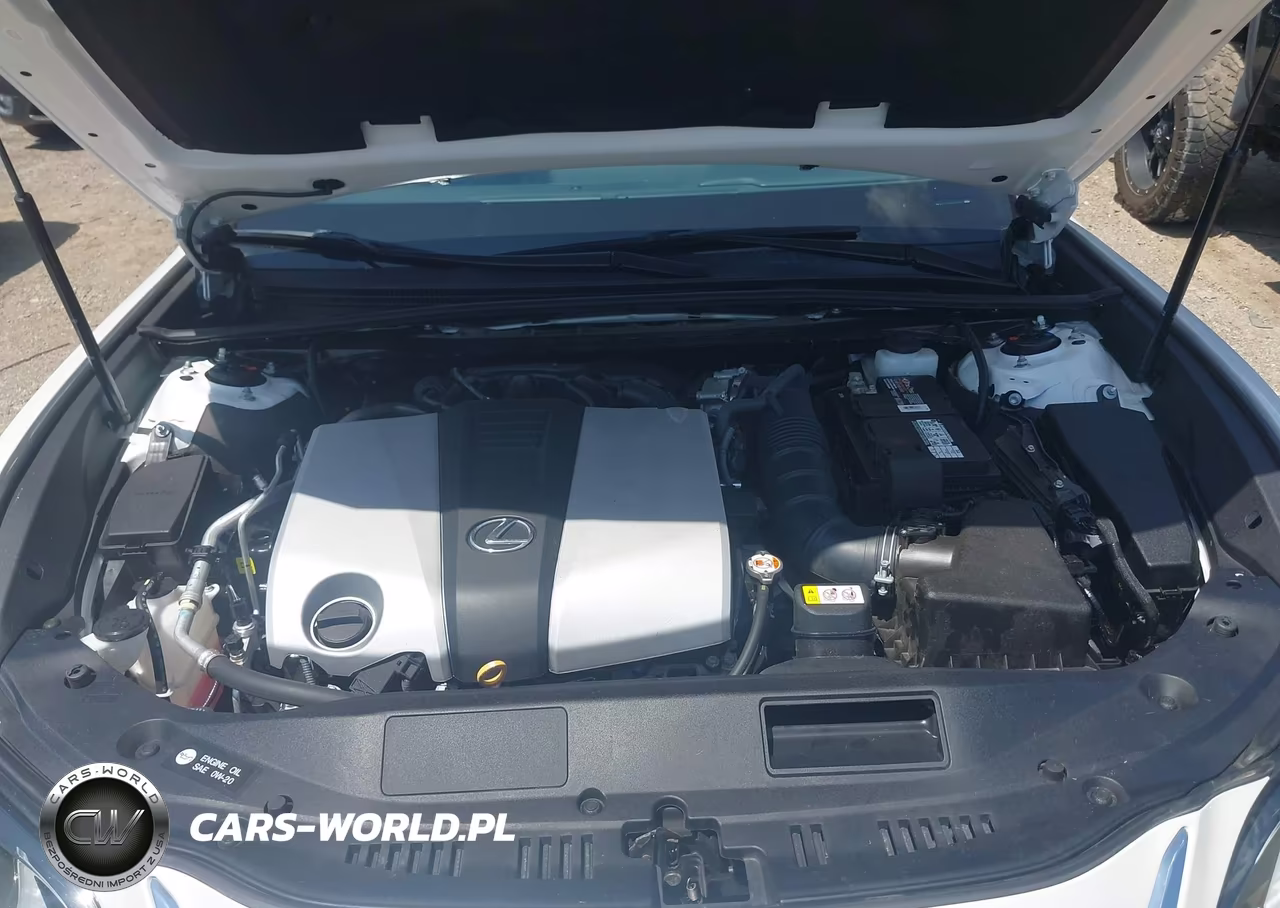 2022 Lexus Es 350 VIN:58ACZ1B16NU123207 - 10