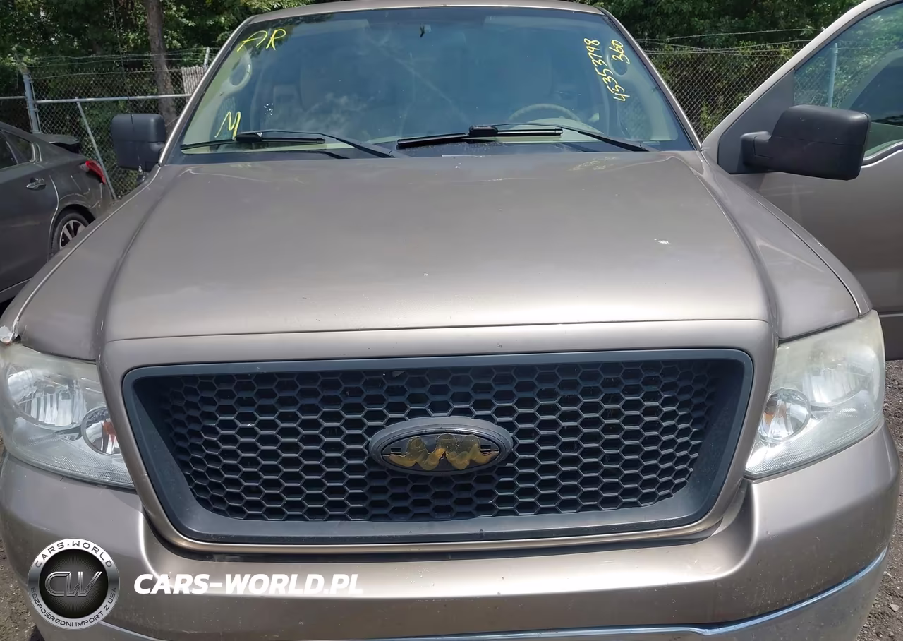 2006 Ford F-150 Stx-Xl-Xlt VIN:1FTRF12W86NB08617 - 6