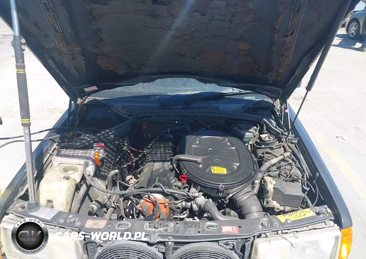 1993 Mercedes-Benz 190 E 2.6 VIN:WDBDA29D1PG022198 - 10