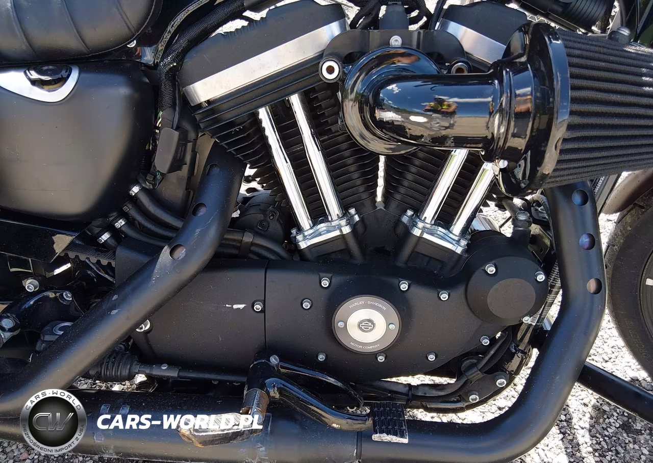 2019 Harley-Davidson Xl883 N VIN:1HD4LE210KC432390 - 8