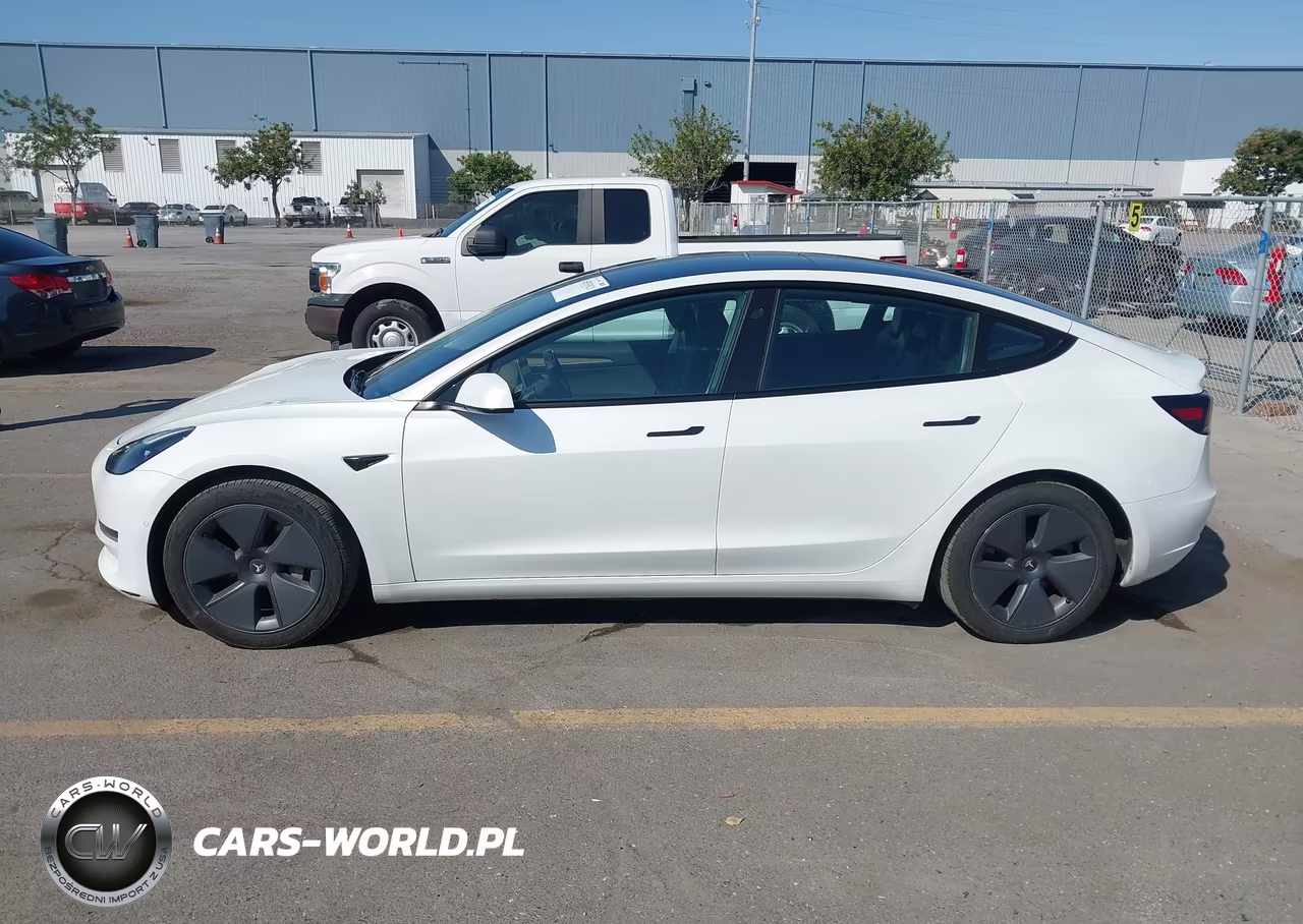 2022 Tesla Model 3 Rear-Wheel Drive VIN:5YJ3E1EA7NF168748 - 13