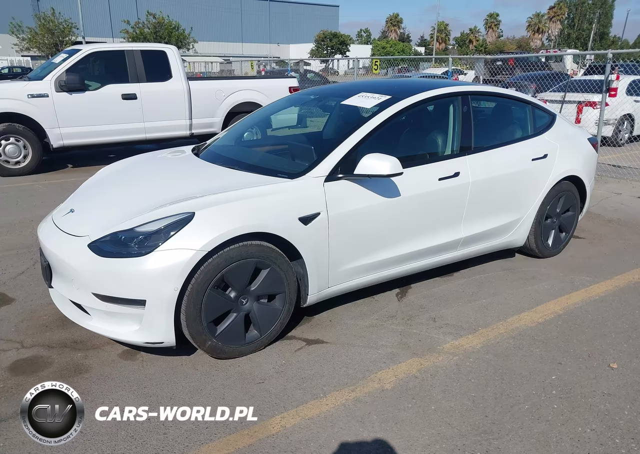 2022 Tesla Model 3 Rear-Wheel Drive VIN:5YJ3E1EA7NF168748 - 2