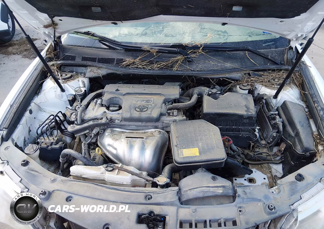 2014 Toyota Camry Xle VIN:4T4BF1FK3ER367398 - 10