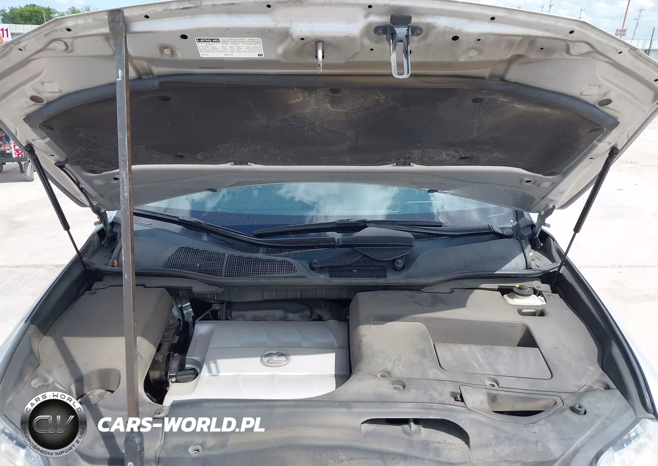 2010 Lexus Rx 350 VIN:2T2ZK1BA2AC004518 - 10