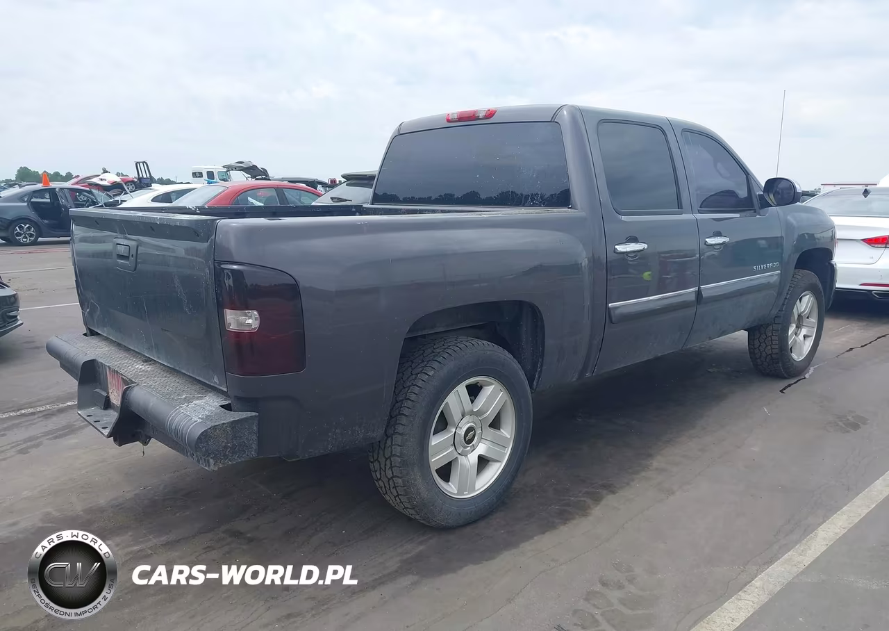 2010 Chevrolet Silverado 1500 Lt VIN:3GCRCSE01AG111544 - 4