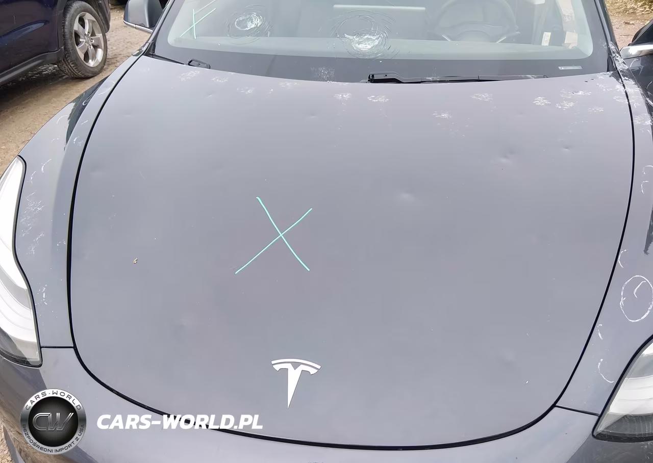 2019 Tesla Model 3 Long Range-Performance VIN:5YJ3E1EB8KF477357 - 10