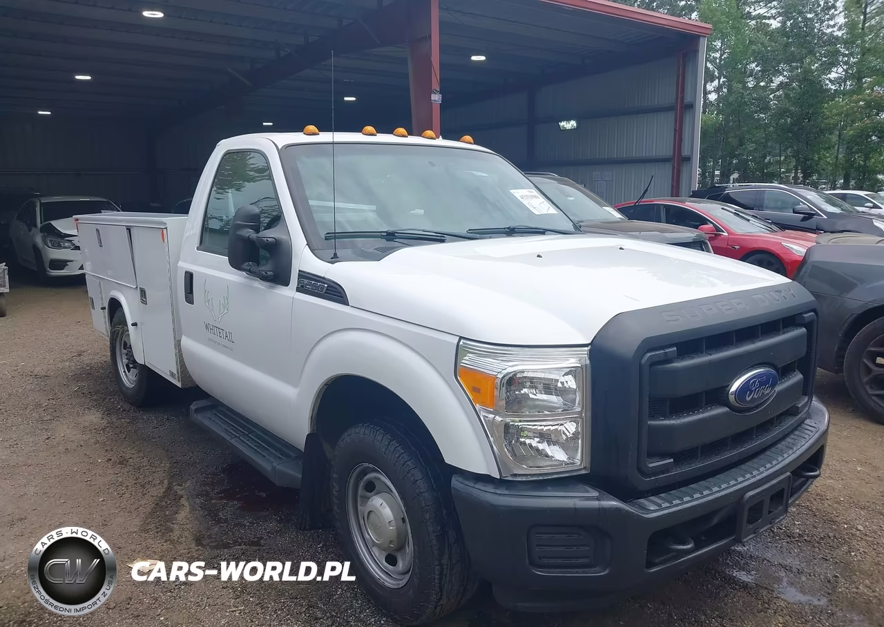 2016 Ford F-250 Xl – zdjęcie 1 z 17