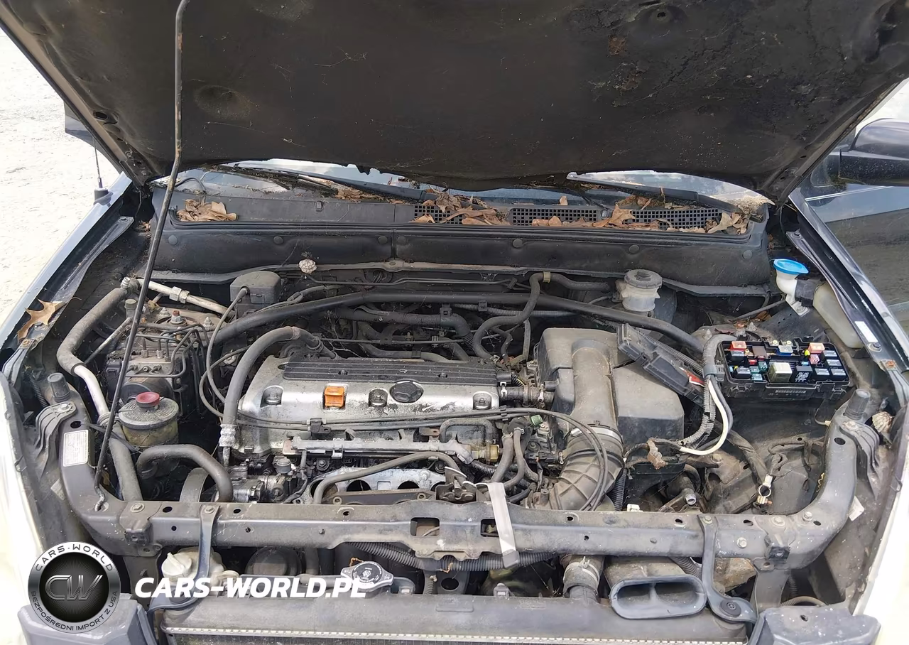 2004 Honda Cr-V Ex VIN:SHSRD788X4U207283 - 10