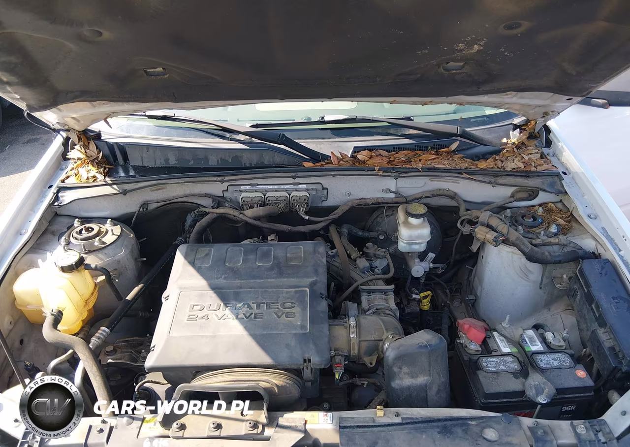 2011 Ford Escape Xlt VIN:1FMCU0DG0BKA69377 - 10
