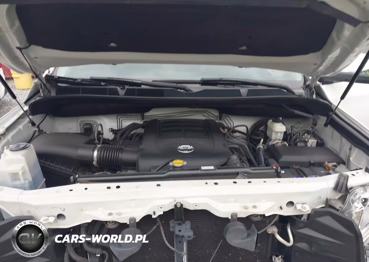 2017 Toyota Tundra Platinum 5.7L V8 VIN:5TFAW5F12HX614275 - 10