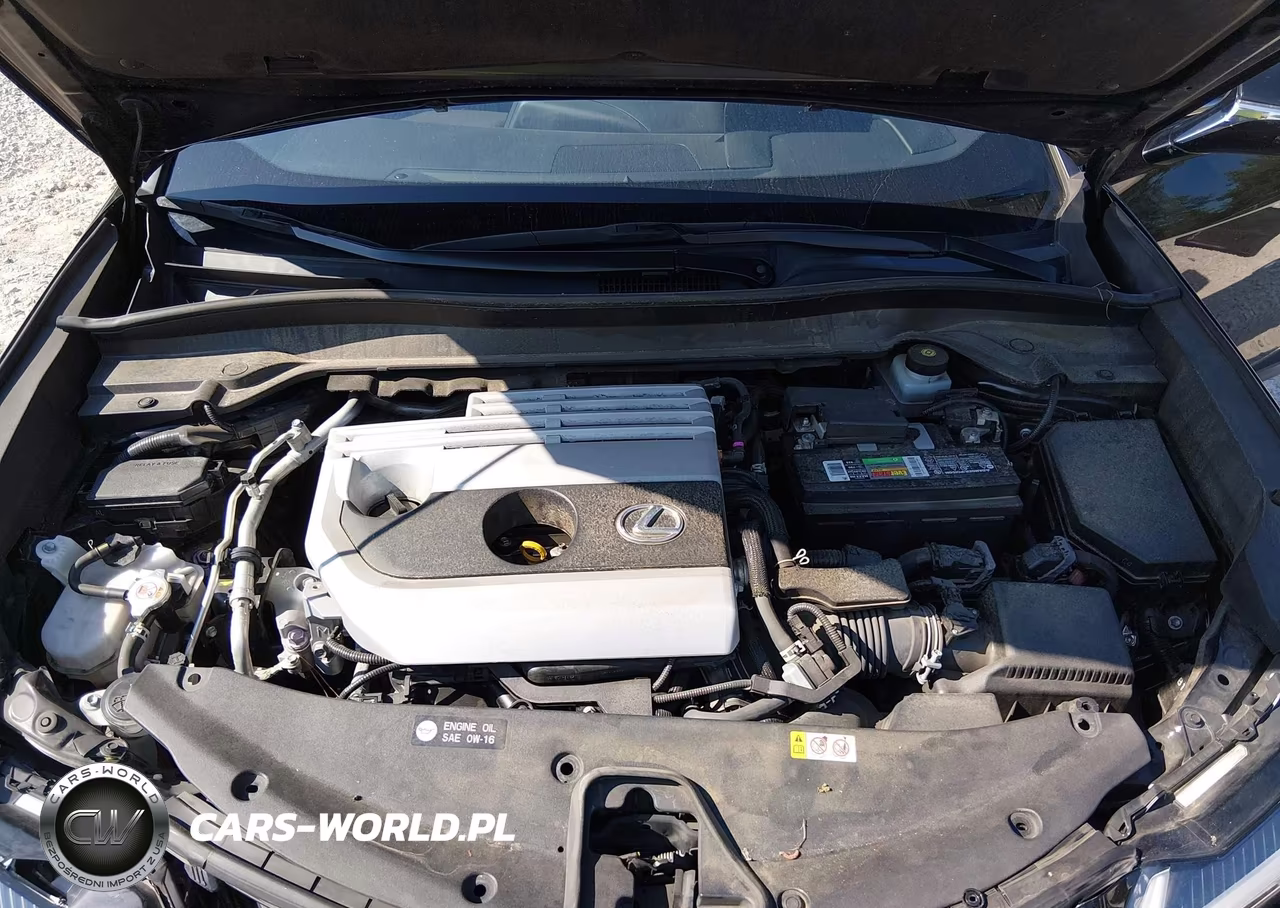 2021 Lexus Ux 200 VIN:JTHP3JBH3M2033338 - 10