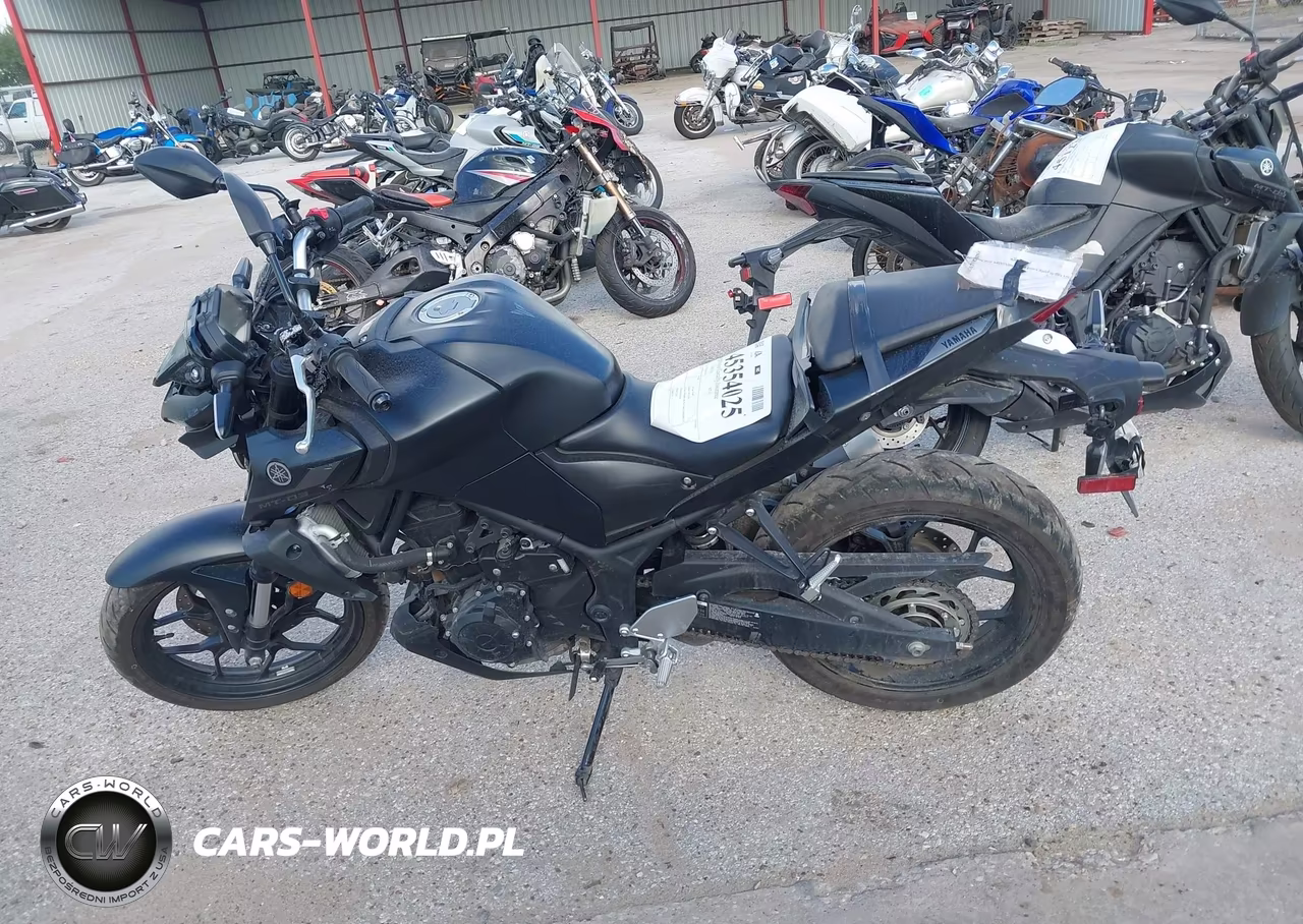 2024 Yamaha Mt-03 VIN:MH3RH20Y4RK013676 - 13