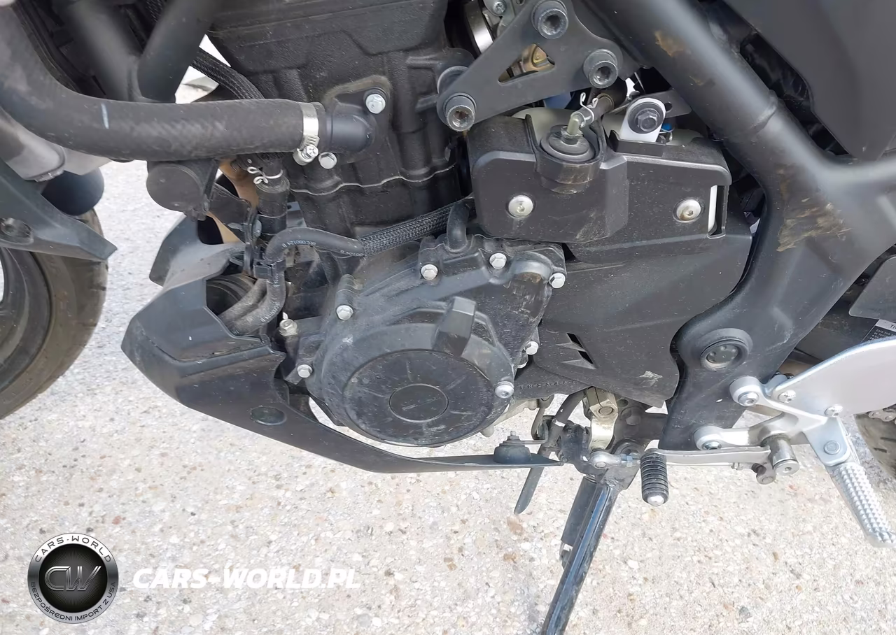2024 Yamaha Mt-03 VIN:MH3RH20Y4RK013676 - 9
