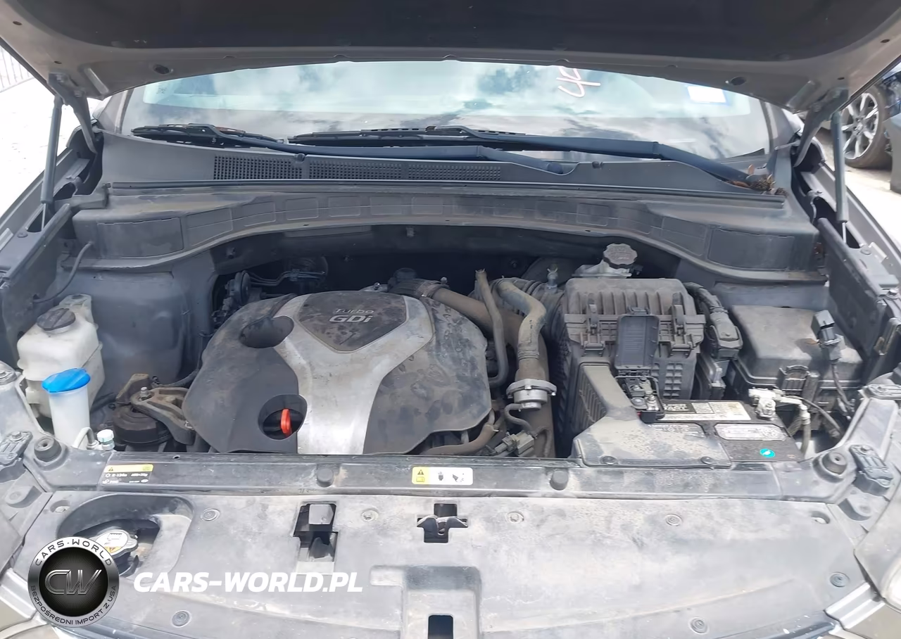 2014 Hyundai Santa Fe Sport 2.0L Turbo VIN:5XYZUDLA4EG204244 - 10