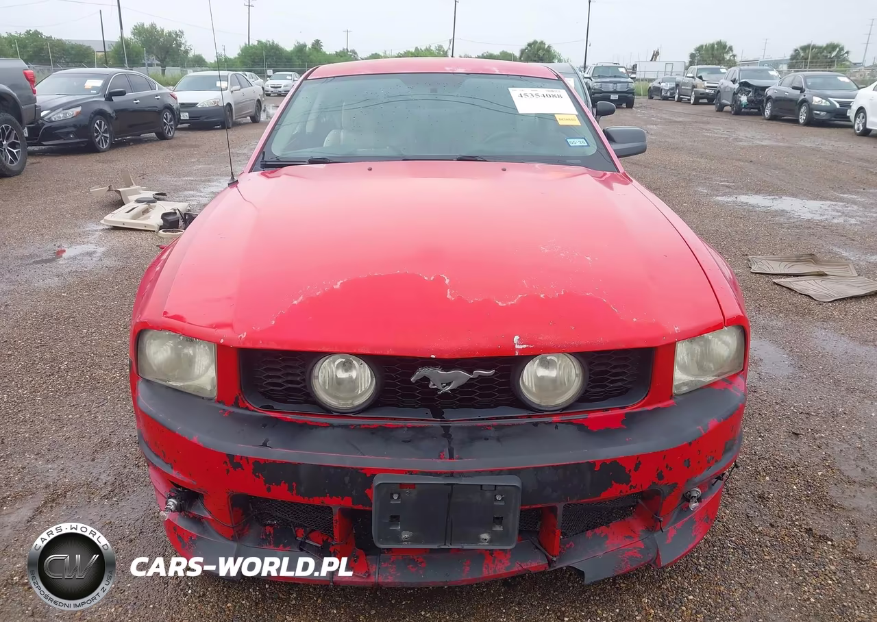 2005 Ford Mustang V6 Deluxe-V6 Premium VIN:1ZVFT80N355221434 - 13