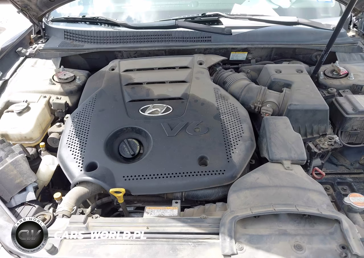 2009 Hyundai Sonata Limited V6 VIN:5NPEU46F59H529179 - 10