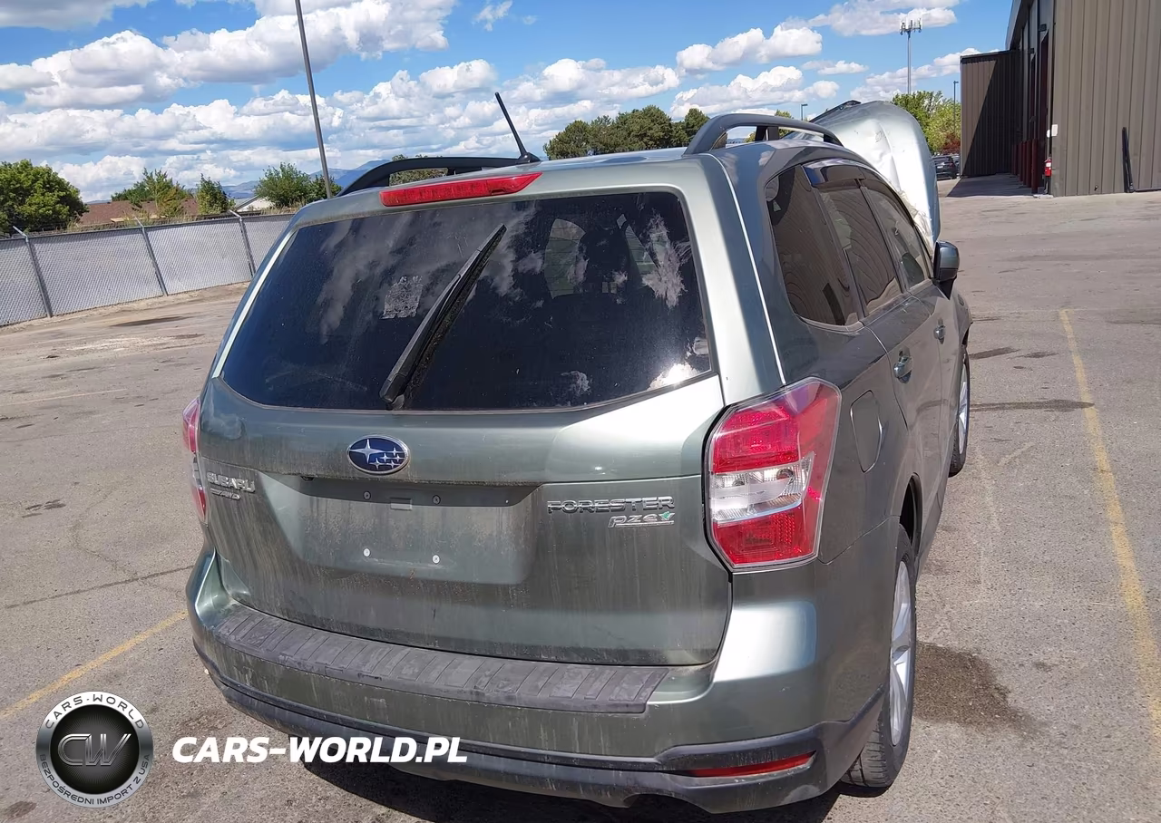 2015 Subaru Forester 2.5I Premium VIN:JF2SJADC4FH409193 - 16