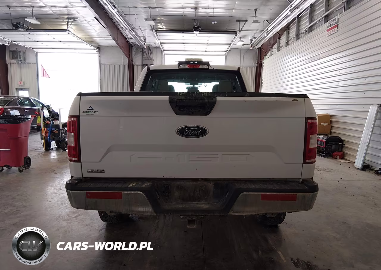 2019 Ford F-150 Xl VIN:1FTEX1EB7KKE10142 - 16
