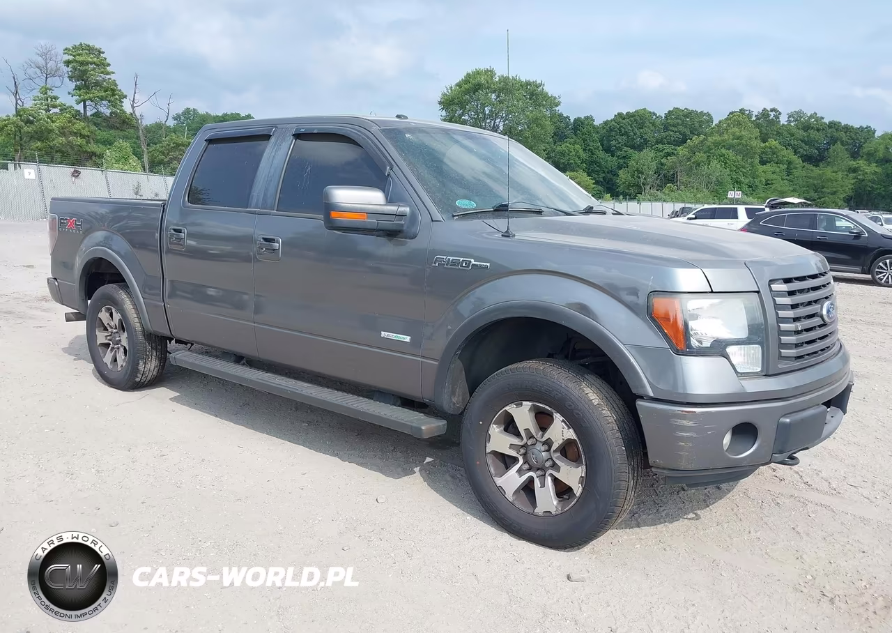 2011 Ford F-150 Fx4 – zdjęcie 1 z 16