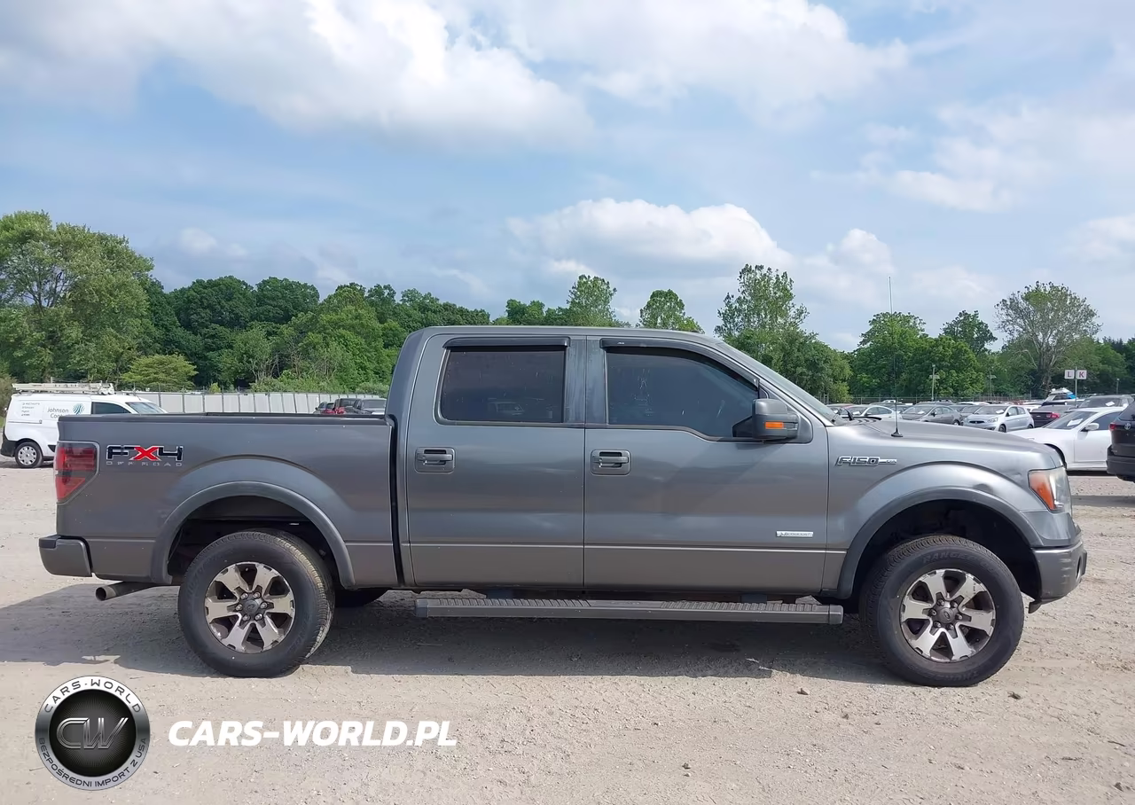 2011 Ford F-150 Fx4 VIN:1FTFW1ET3BFC99209 - 13
