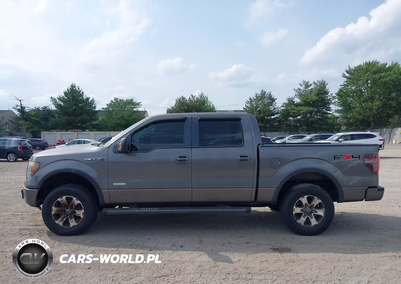 2011 Ford F-150 Fx4 VIN:1FTFW1ET3BFC99209 - 14