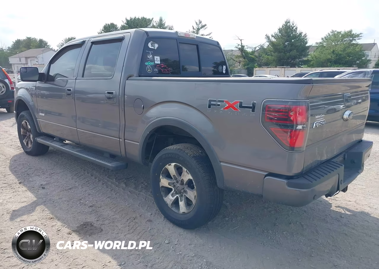 2011 Ford F-150 Fx4 VIN:1FTFW1ET3BFC99209 - 3