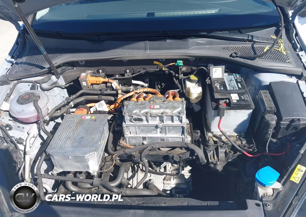 2017 Volkswagen E-Golf Se VIN:WVWKR7AU1HW954273 - 10