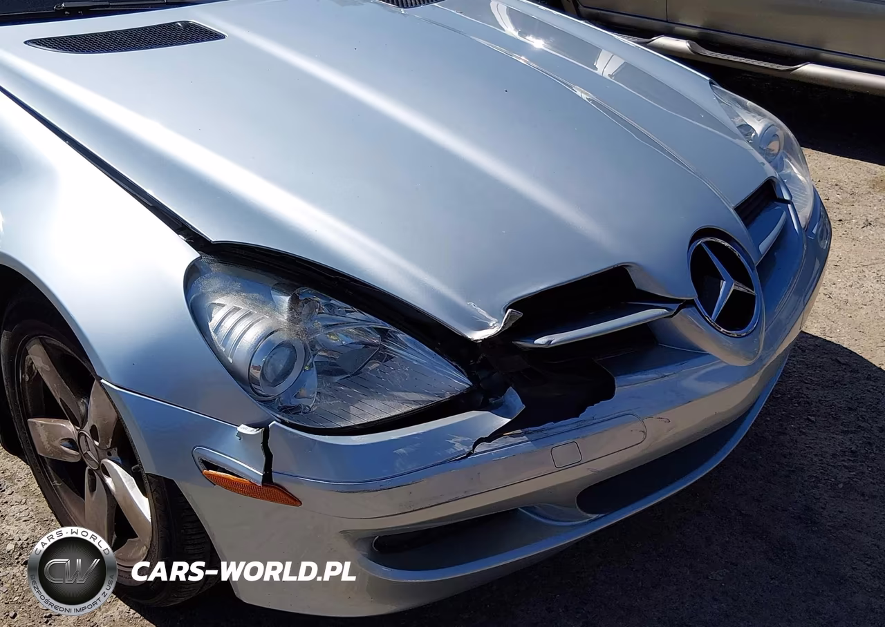 2007 Mercedes-Benz Slk 280 VIN:WDBWK54F57F147758 - 6