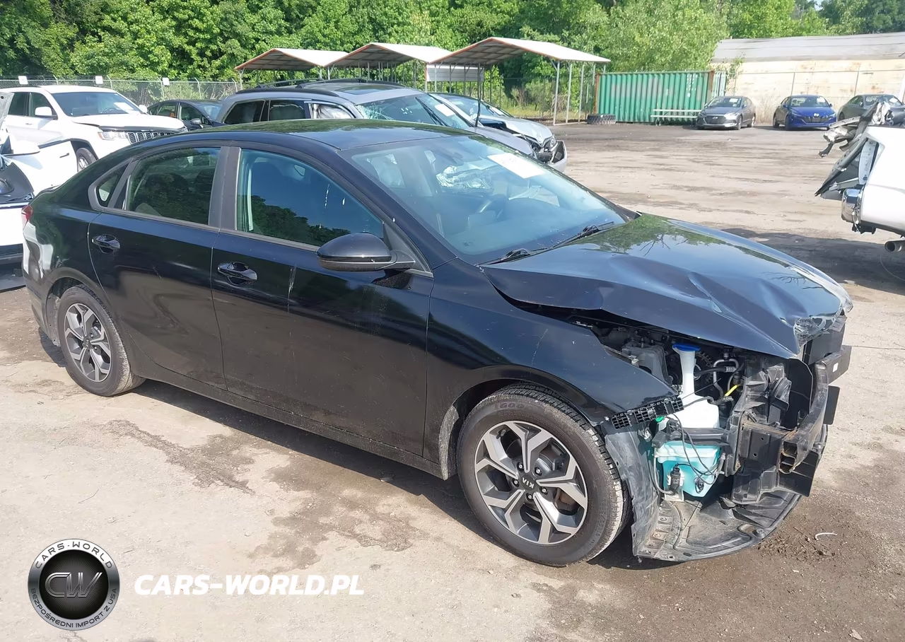 2019 Kia Forte Lxs